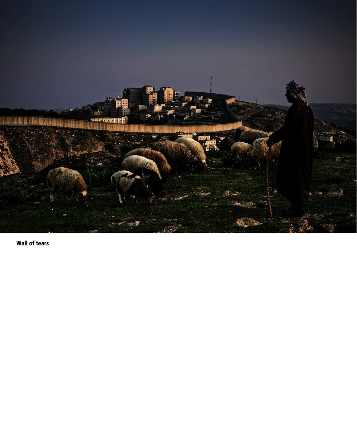 PALESTINE - MEMORIES OF 1948